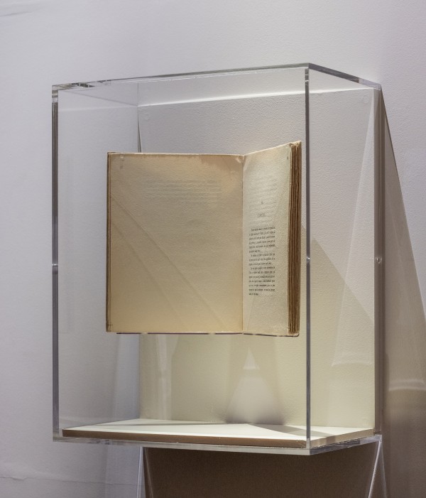 Vaste | lelievre-vaste-opera-_dsf4081.jpg