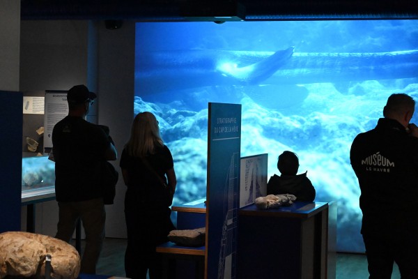 Vaste | vaste-clea-hameury-museum-du-havredsc_0570.jpg