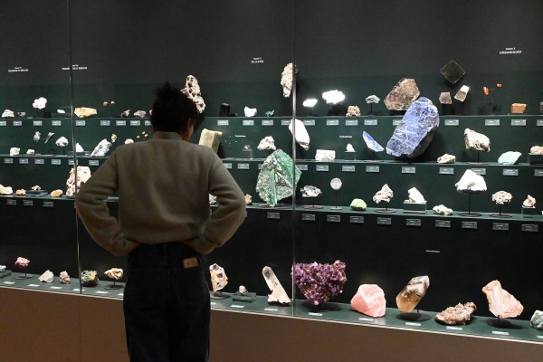 Vaste | vaste-clea-hameury-museum-du-havredsc_0773.jpg