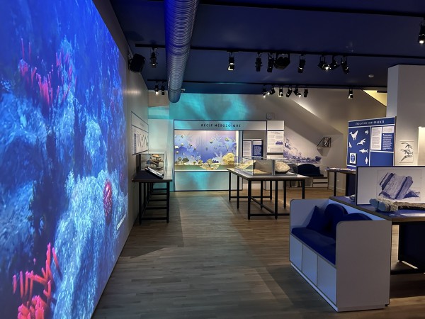 Vaste | vaste-havre-museum-photo-12-12-2025-21-23-23.jpg