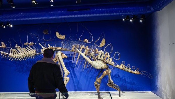 Vaste | vaste-museum-du-havreimg_20251212_200920.jpg