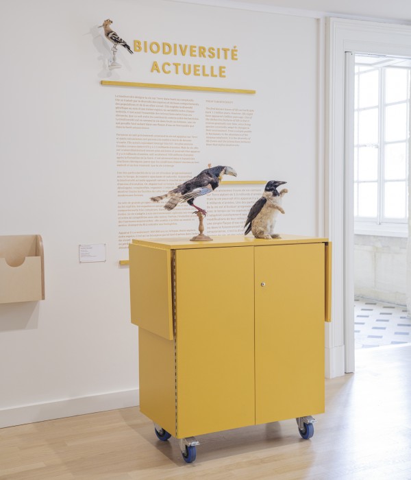 Vaste | vaste-museum-havre-2178.jpg
